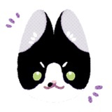 草莓柚子石榴汁