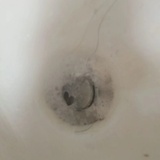 眼jiao笑意