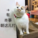 吹吹风
