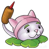 小七