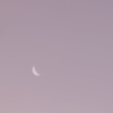 活着
