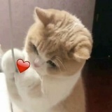 我好怕热