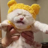 一个麻瓜叔叔