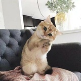 冬天快来吧
