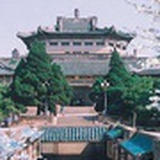 妮妮
