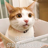 当只幸福的猪