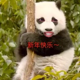 一大棵橡树