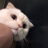 我有强迫症