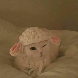 TH_
