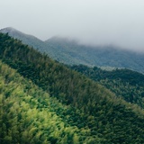 青山先生