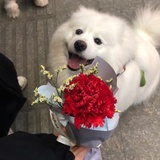 张家铭