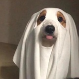 略