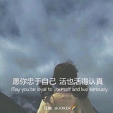 廉价的傻子