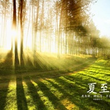 鲤鱼