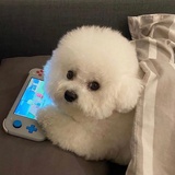 嗜糖旦那