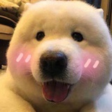 薄皮核桃