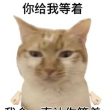 挚爱灌汤包