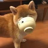麻烦你动动脑子