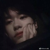 Xx陌兮