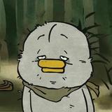 不准