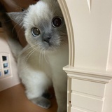 爱自己❤️
