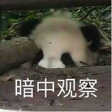 evOnne毛毛