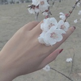 拾