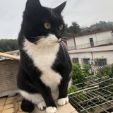 国产刘在石