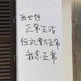 豆友639827653