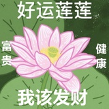 杨小枳