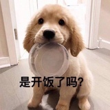 满地月光作海洋