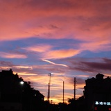 xiaotianxing