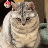 我看远山
