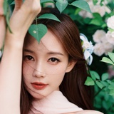 红豆