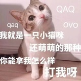 洋光普照蒲公英