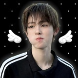 BTS-严成玹