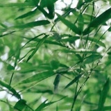 和