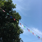 张念白