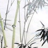 新蒿