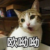 是小狐狸啊