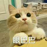我想吃草莓