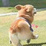 mi