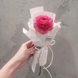 啦啦