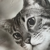 OliviaK
