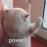 豆腐