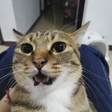 跑你妹的云朵