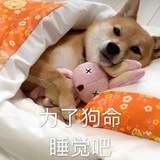 为了狗命睡觉吧