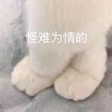 豆友152309389