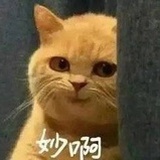 我就是坠能吃的