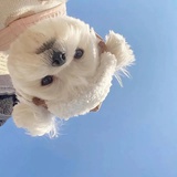 Cicy爱学习